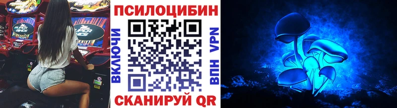 Псилоцибиновые грибы Psilocybe  Нытва 